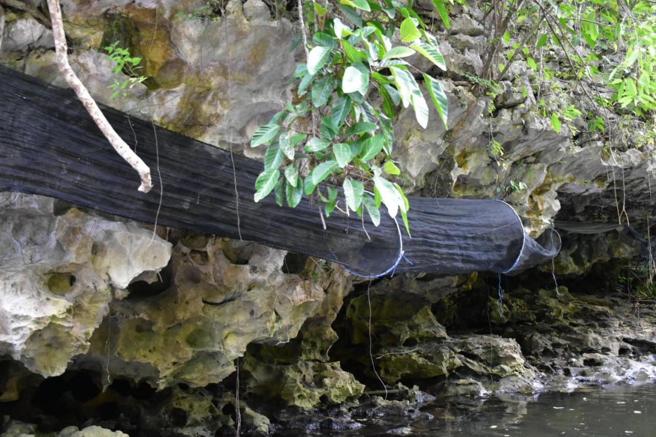 Penzion Kampoeng Karst Rammang Rammang Kasijala Exteriér fotografie