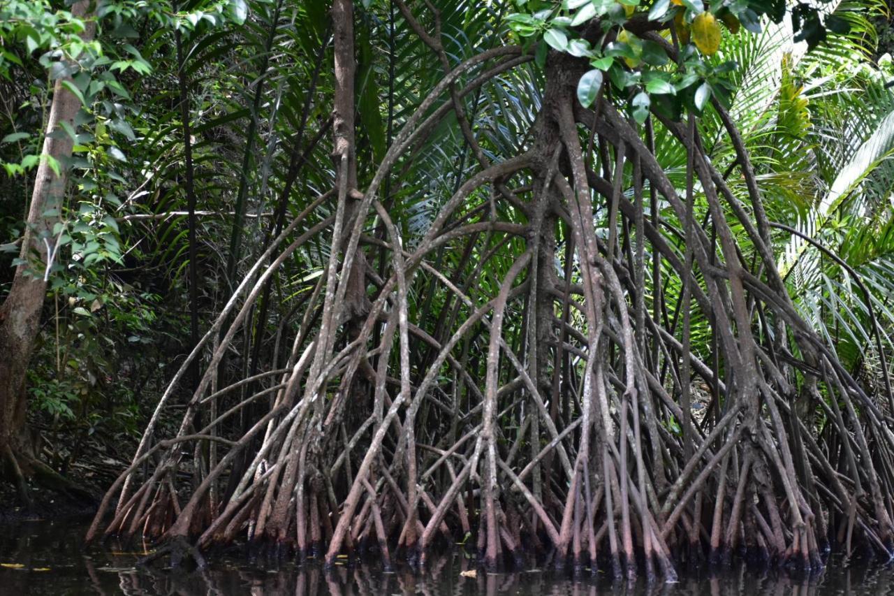 Penzion Kampoeng Karst Rammang Rammang Kasijala Exteriér fotografie