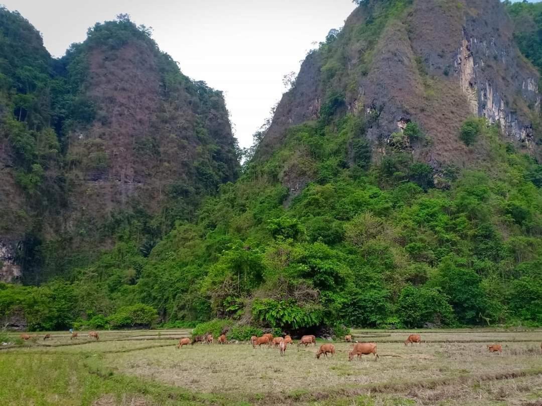 Penzion Kampoeng Karst Rammang Rammang Kasijala Exteriér fotografie