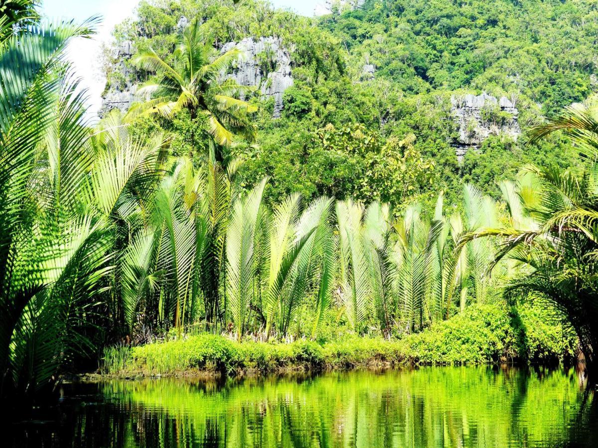 Penzion Kampoeng Karst Rammang Rammang Kasijala Exteriér fotografie
