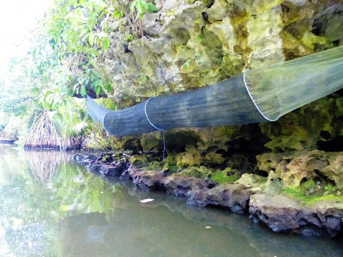 Penzion Kampoeng Karst Rammang Rammang Kasijala Exteriér fotografie