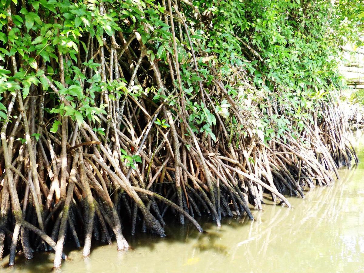 Penzion Kampoeng Karst Rammang Rammang Kasijala Exteriér fotografie