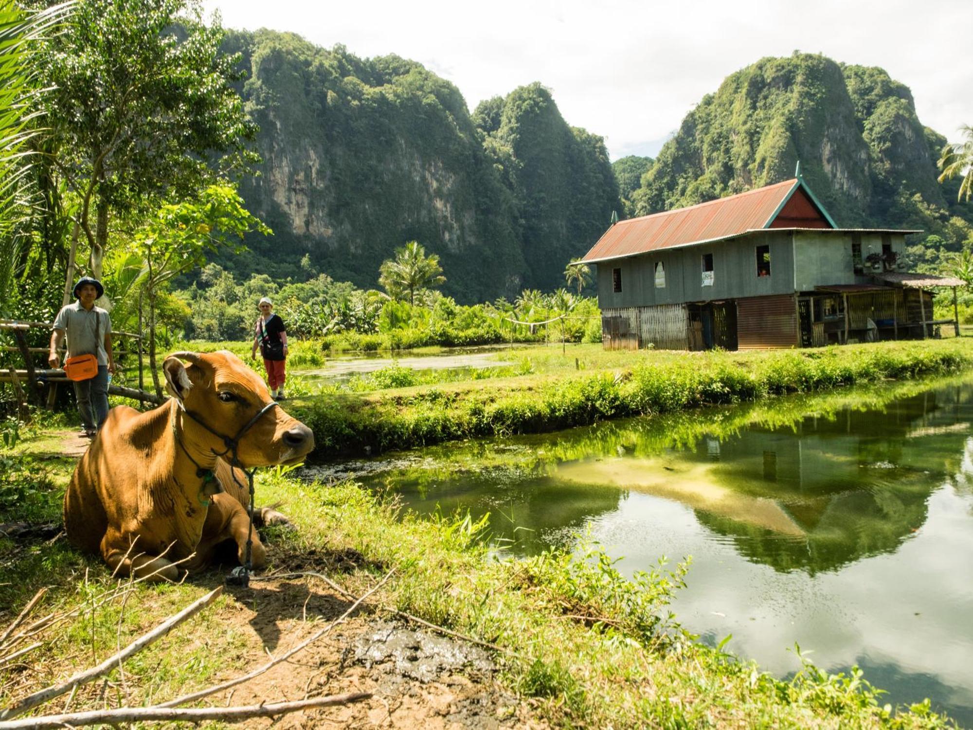 Penzion Kampoeng Karst Rammang Rammang Kasijala Exteriér fotografie